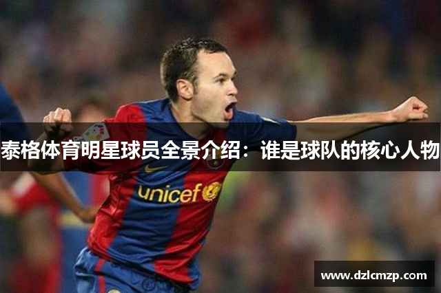 泰格体育明星球员全景介绍：谁是球队的核心人物